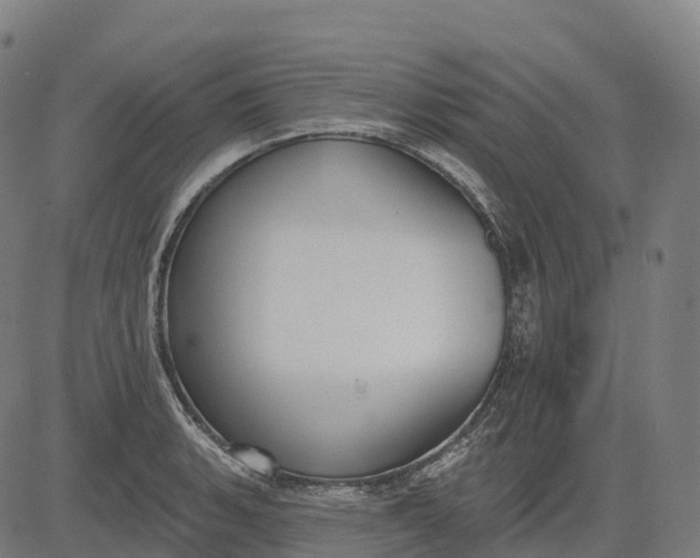 X0000082681135200702091626