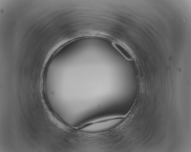 X0000082681136200702091626