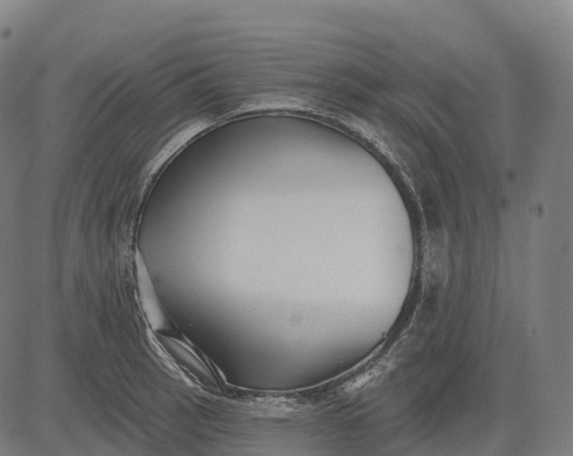 X0000082681137200702091626