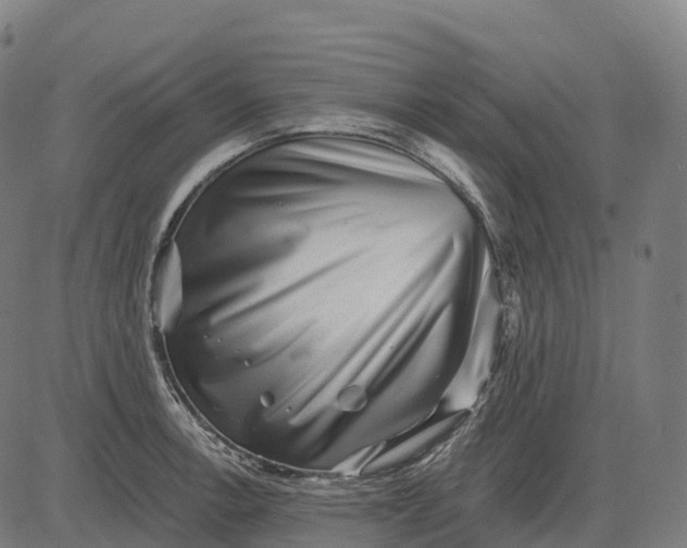 X0000082681138200702091626