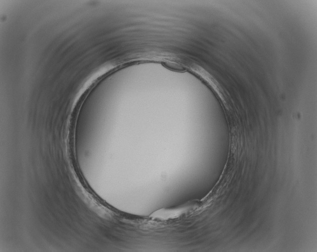 X0000082681139200702091626