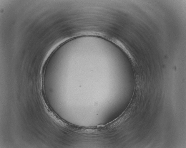 X0000082681140200702091626