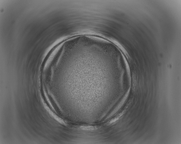 X0000082681142200702091626