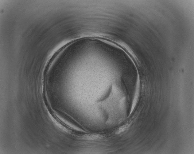 X0000082681143200702091626