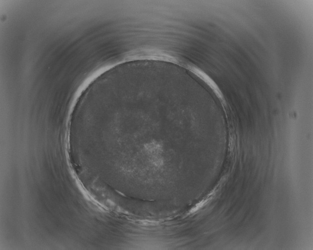 X0000082681144200702091626