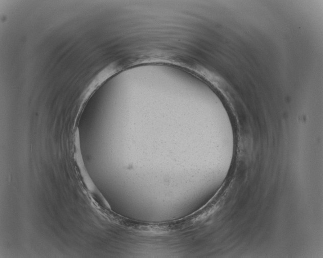 X0000082681145200702091626