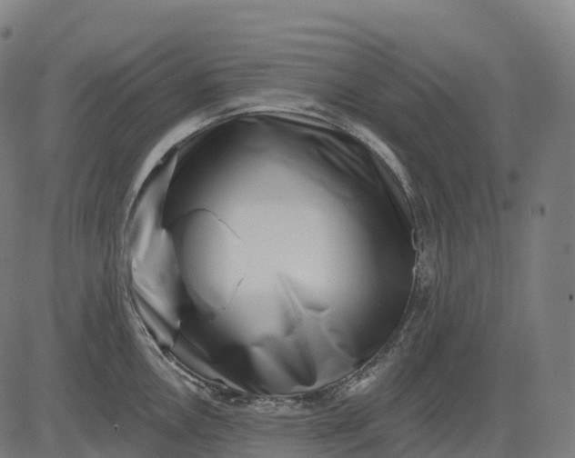 X0000082681146200702091626