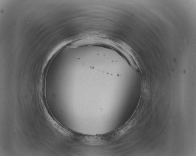 X0000082681147200702091626