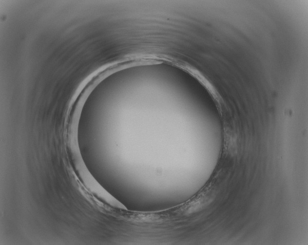 X0000082681148200702091626