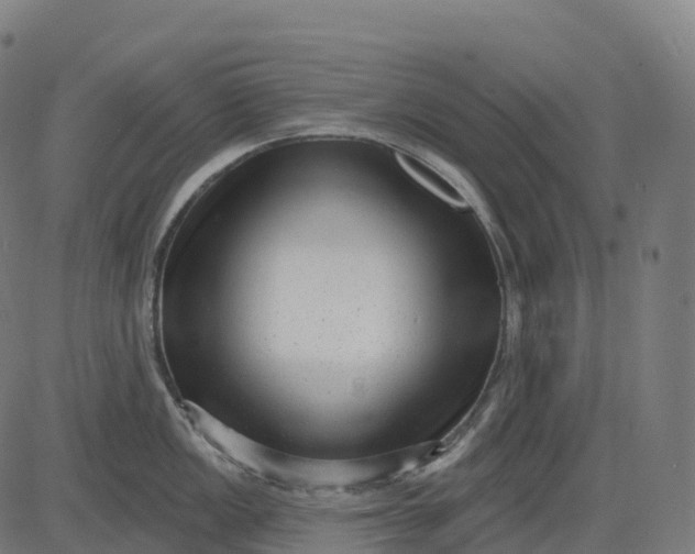 X0000082681149200702091626