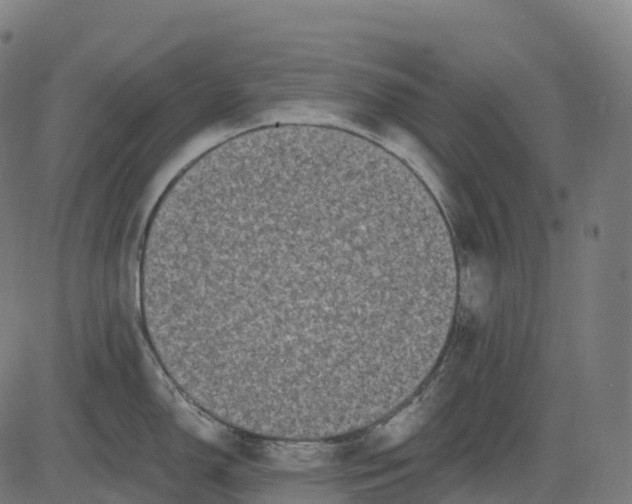 X0000082681150200702091626