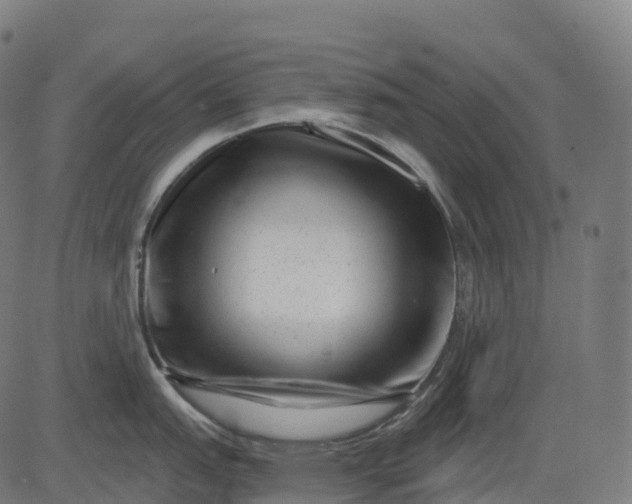 X0000082681151200702091626