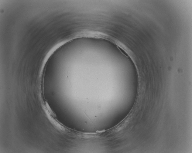 X0000082681152200702091626