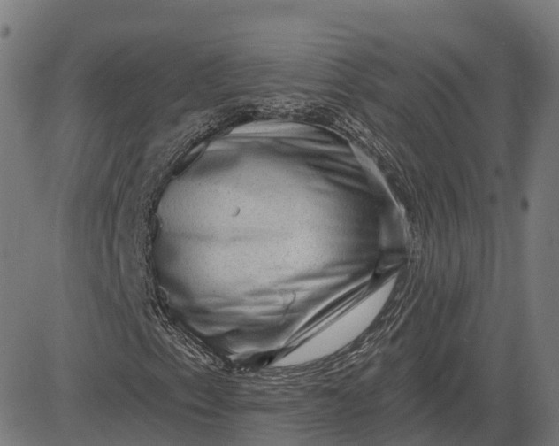 X0000082681153200702091625