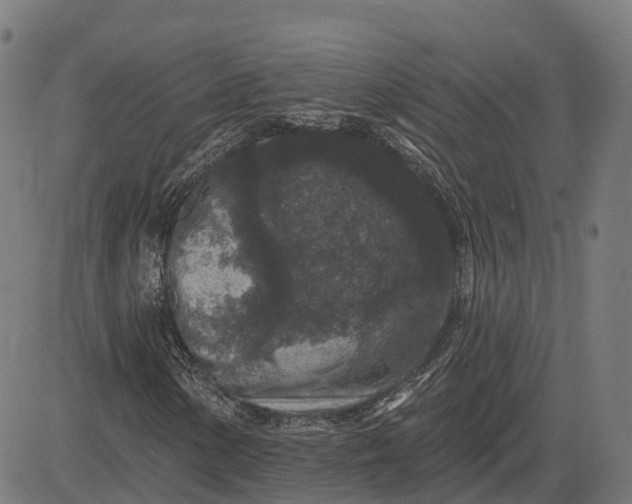 X0000082681154200702091625