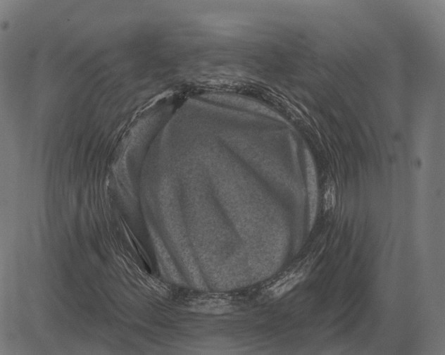 X0000082681156200702091625