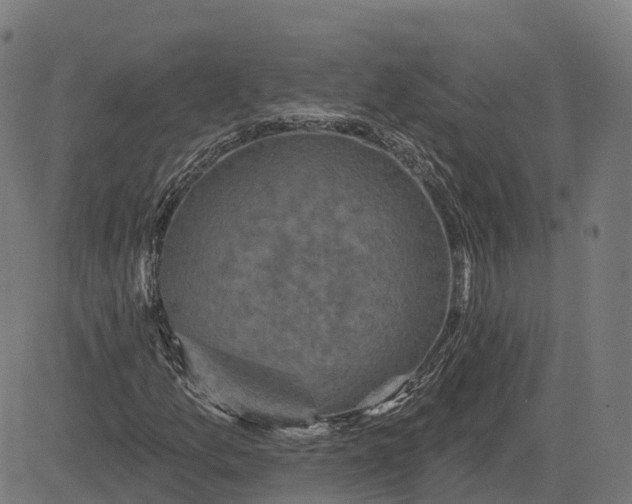 X0000082681157200702091625