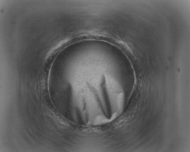 X0000082681159200702091625