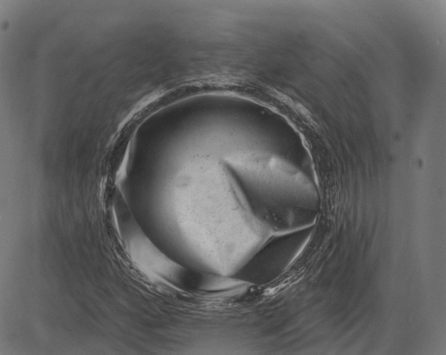 X0000082681160200702091625