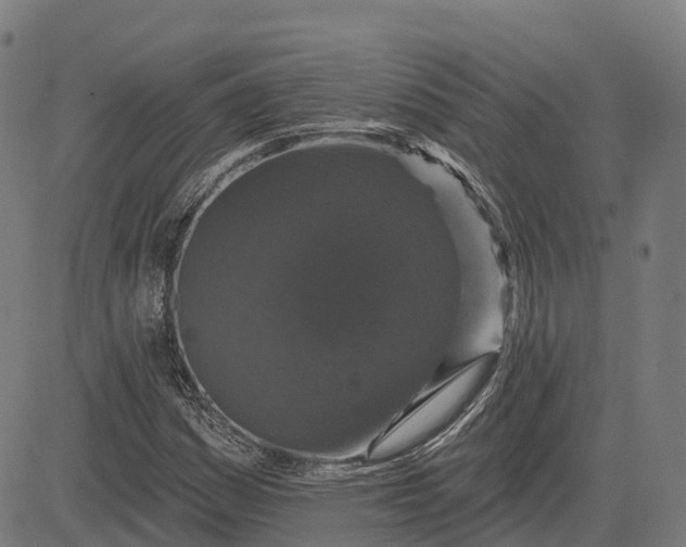 X0000082681161200702091625