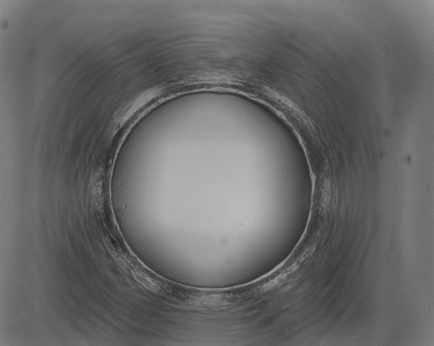 X0000082681162200702091625