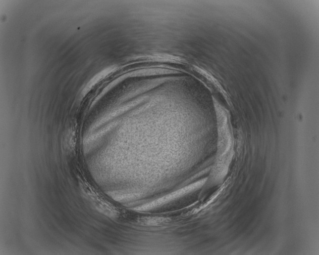 X0000082681163200702091625