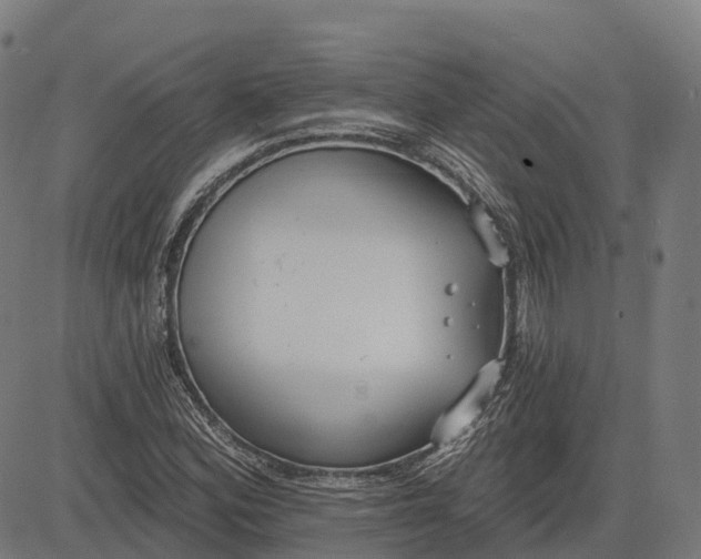 X0000082681164200702091625