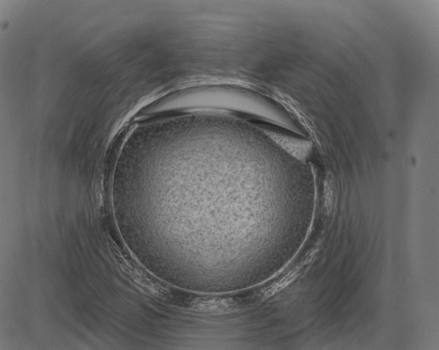 X0000082681165200702091625