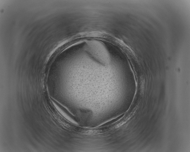 X0000082681166200702091625