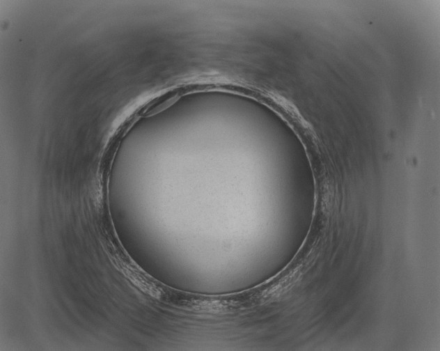 X0000082681167200702091625