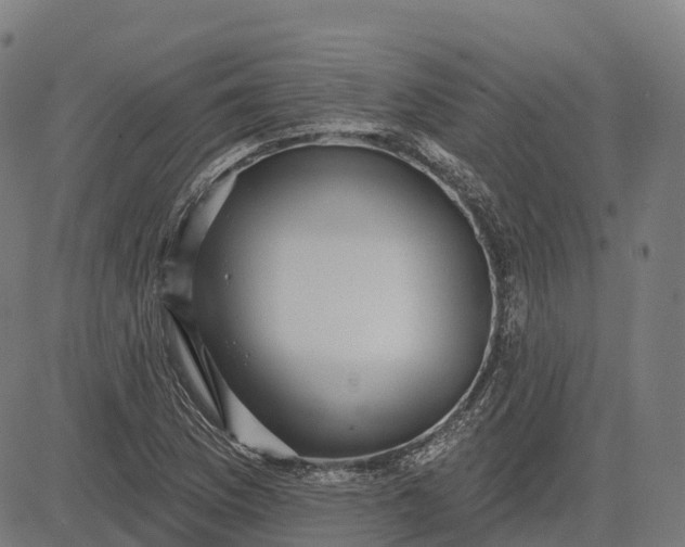 X0000082681169200702091625