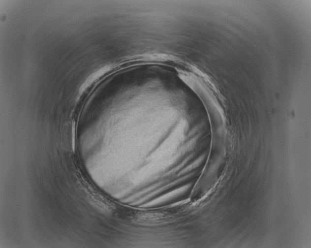 X0000082681171200702091625