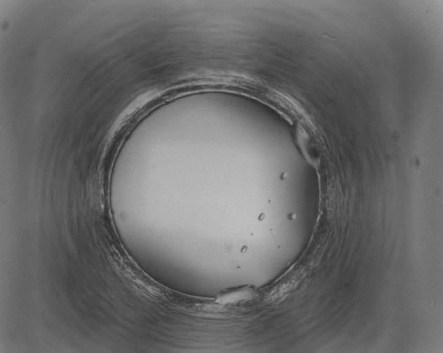 X0000082681172200702091625