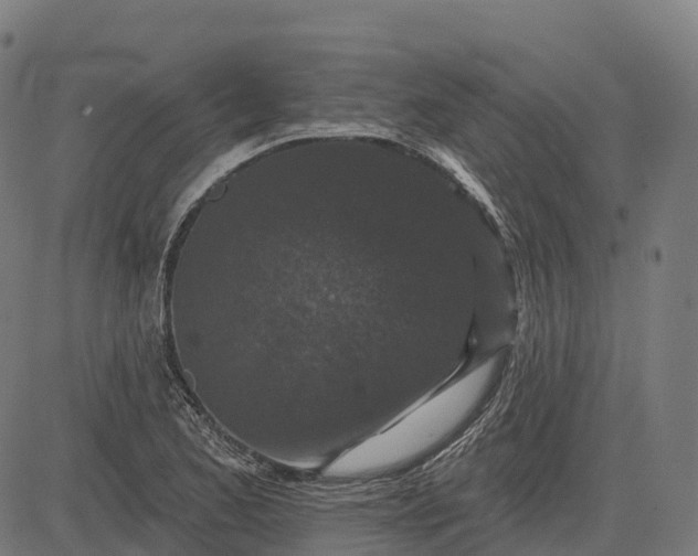 X0000082681173200702091625