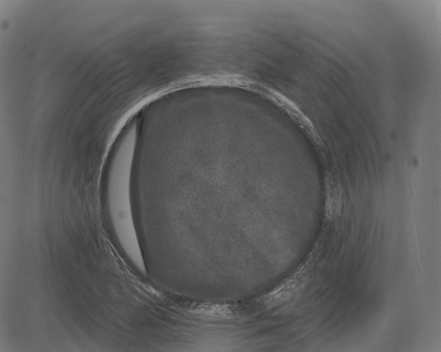 X0000082681174200702091625