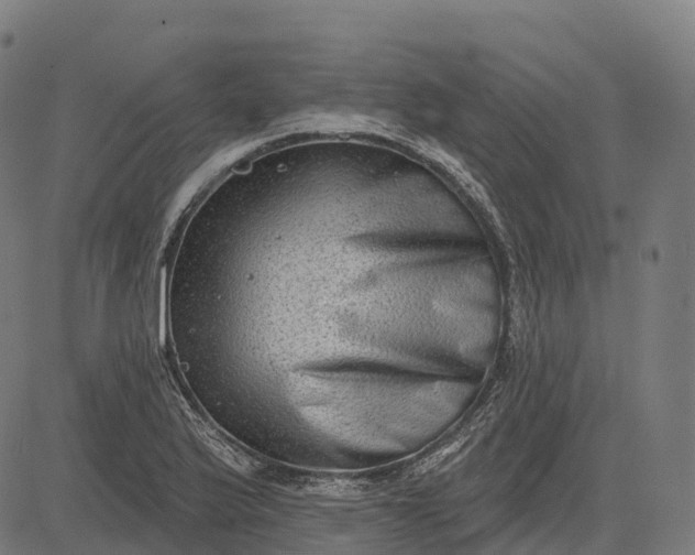 X0000082681175200702091625