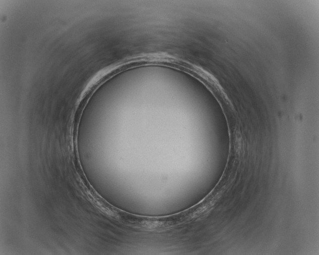 X0000082681176200702091625