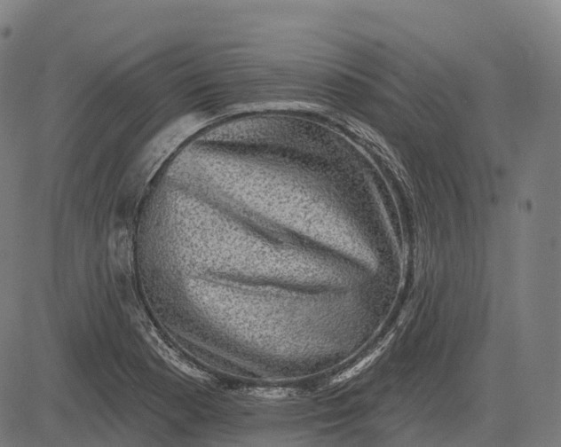 X0000082681177200702091625