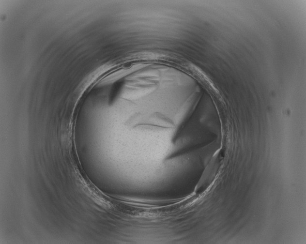 X0000082681178200702091625