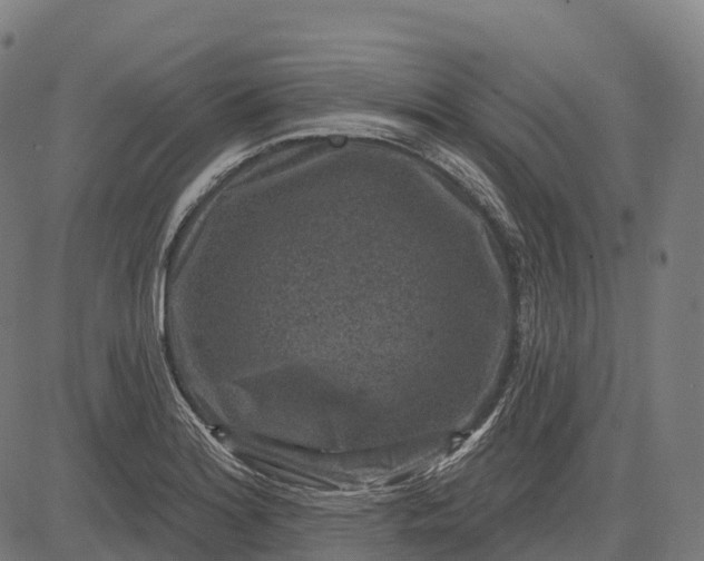 X0000082681180200702091625