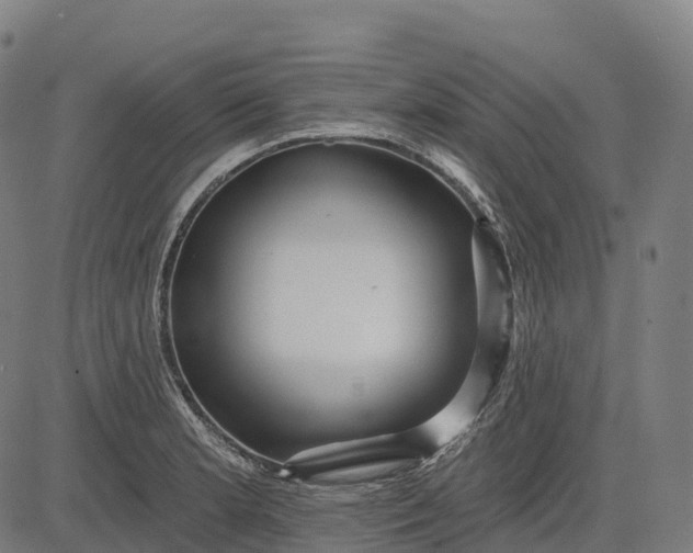 X0000082681181200702091625