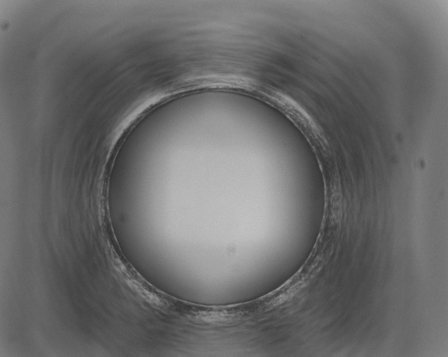 X0000082681182200702091625