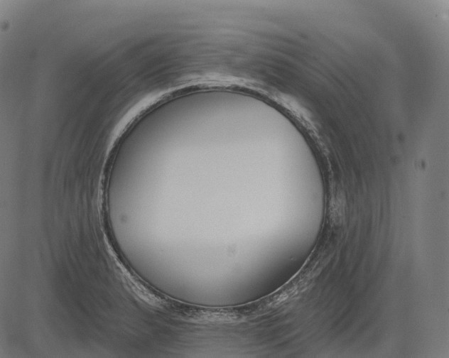 X0000082681183200702091625