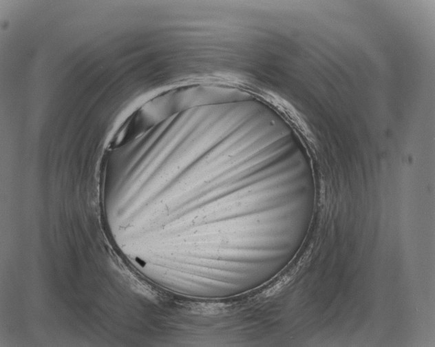 X0000082681184200702091625