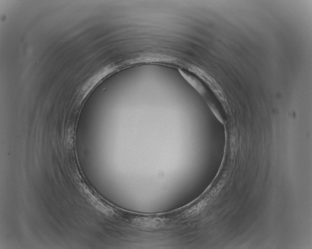 X0000082681185200702091625