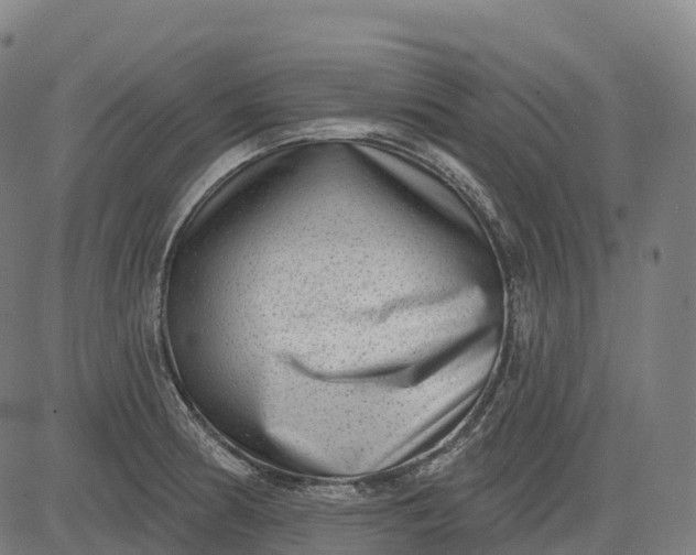 X0000082681186200702091624