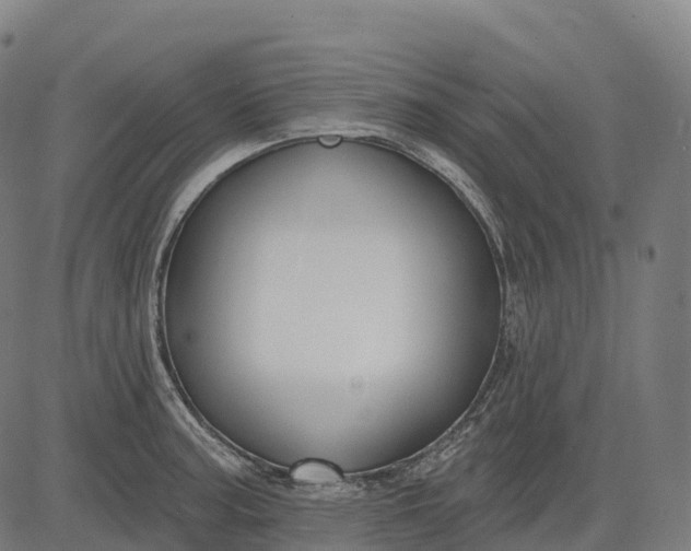 X0000082681187200702091624