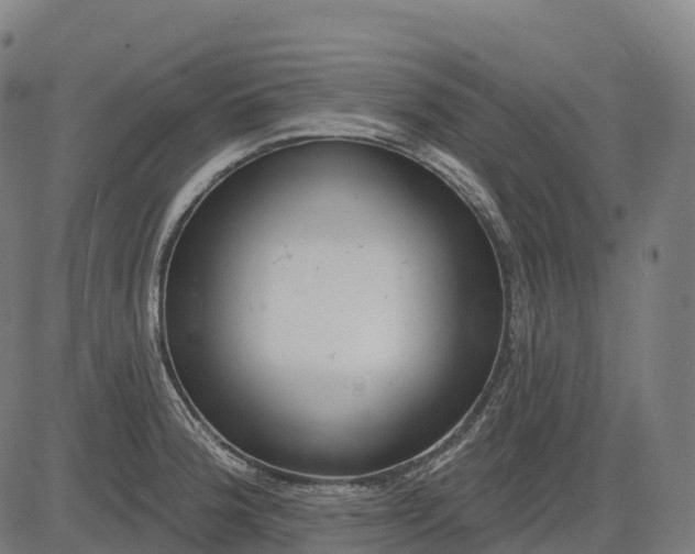 X0000082681188200702091624