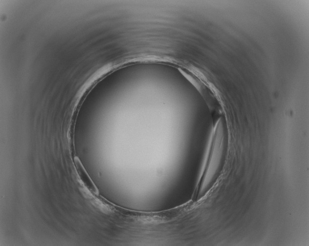 X0000082681189200702091624