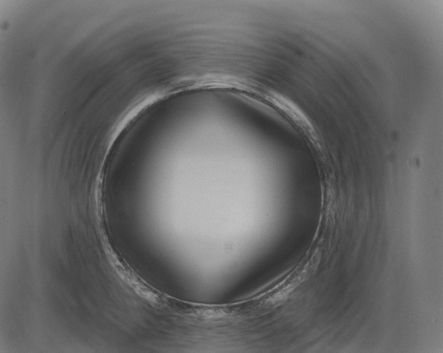 X0000082681190200702091624